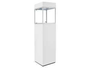 Accent Cube